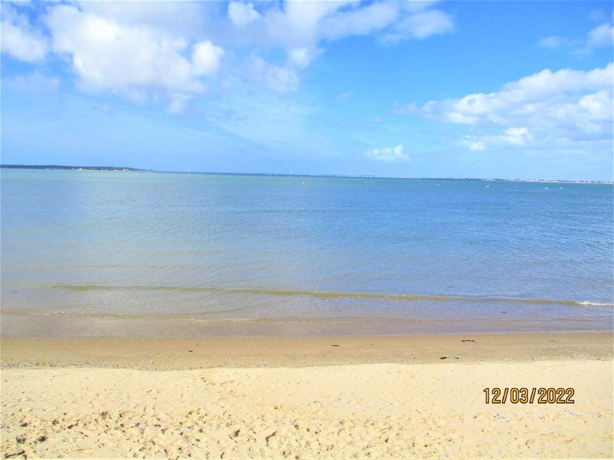 Mer A 200M,,Ds Les Mimosas En Fleur ! Ronce-les-Bains Luaran gambar